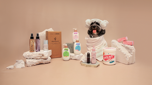 Nurturing Your Furry Friend: The Importance of Dog Care with Harmurry Shampoo from Goodest Boy Studio