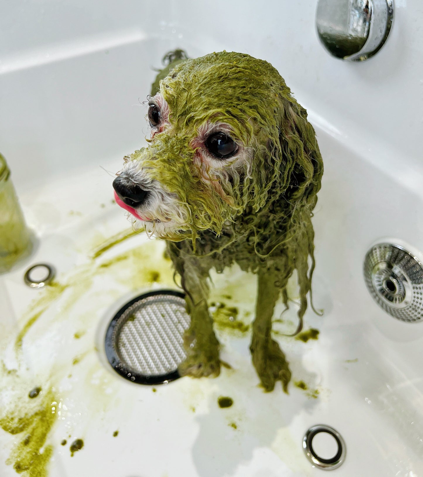 Harmurry Herbal Mud Spa (Cica × Cassia × Matcha)