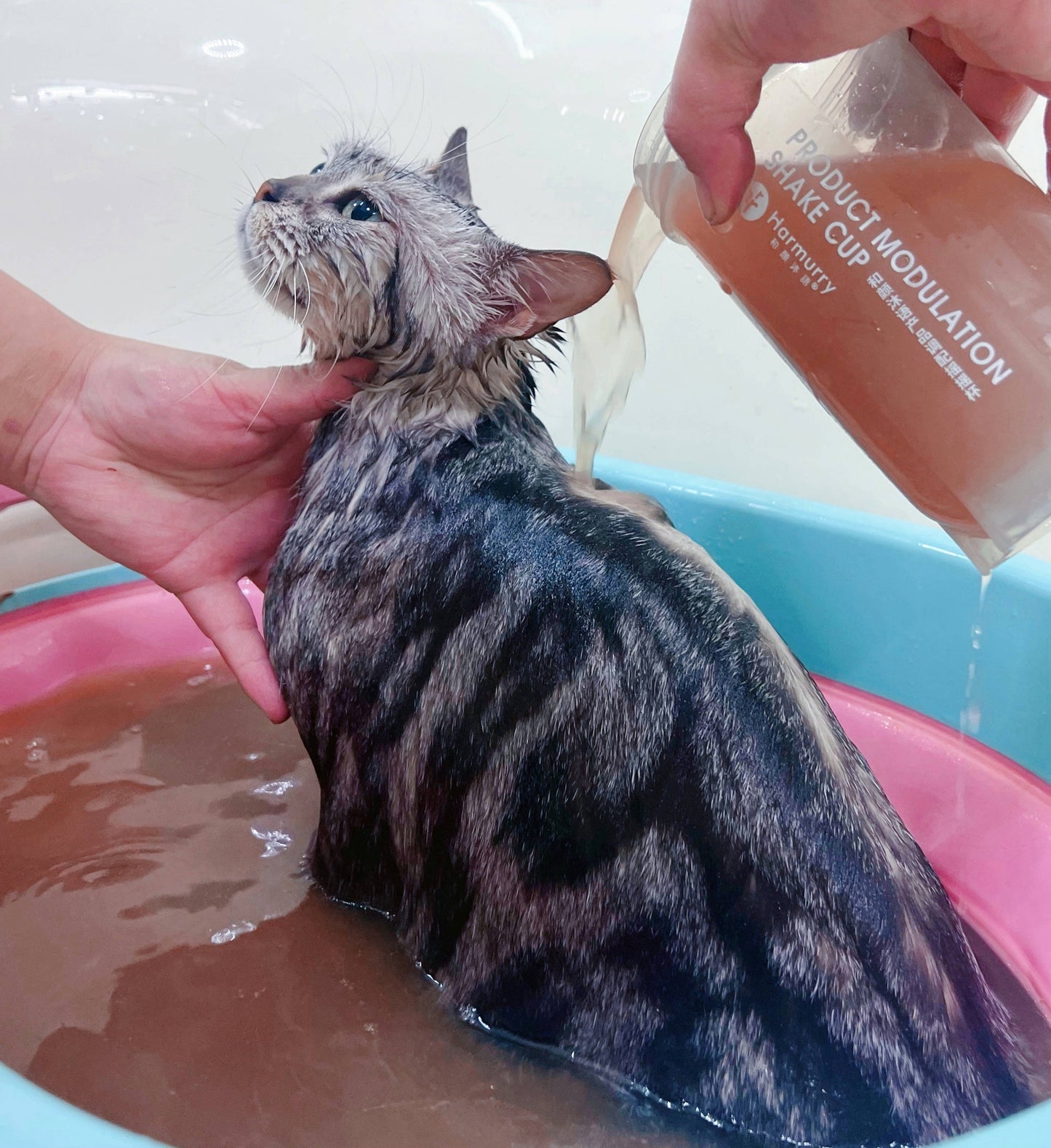Harmurry Floral Mud Spa (Rose × Sakura × Jasmine)
