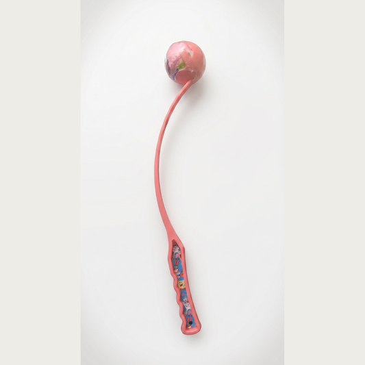 Patrick - 19" Throw Stick