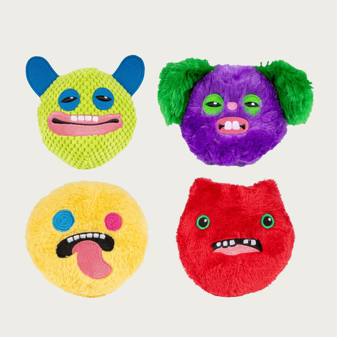 Fuggler Squeaky Ball Dog Toy