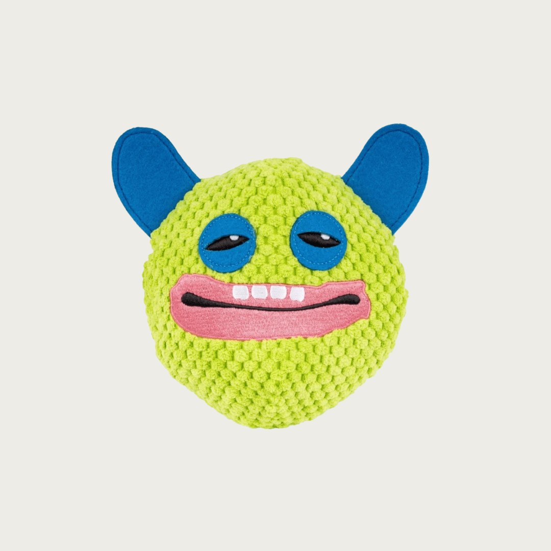 Fuggler Squeaky Ball Dog Toy