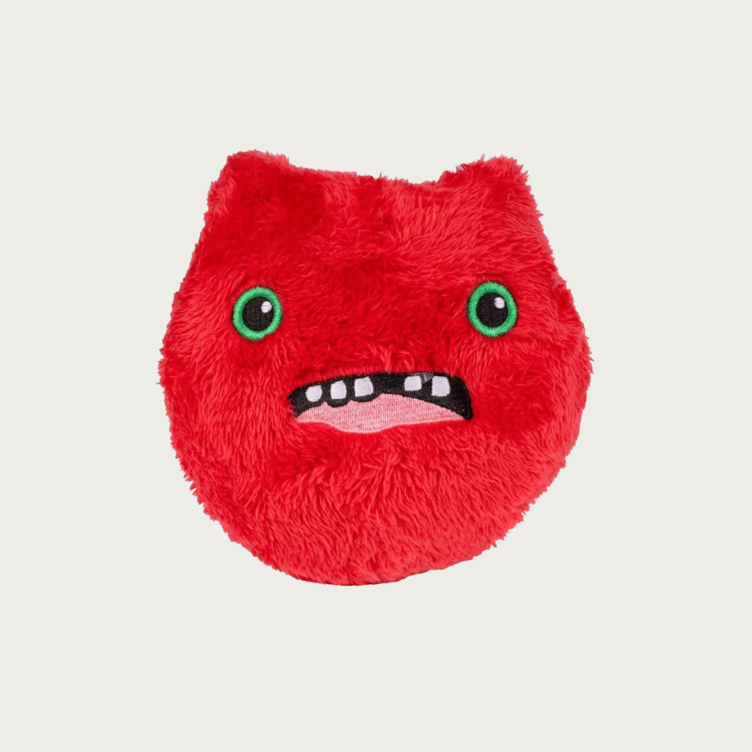 Fuggler Squeaky Ball Dog Toy
