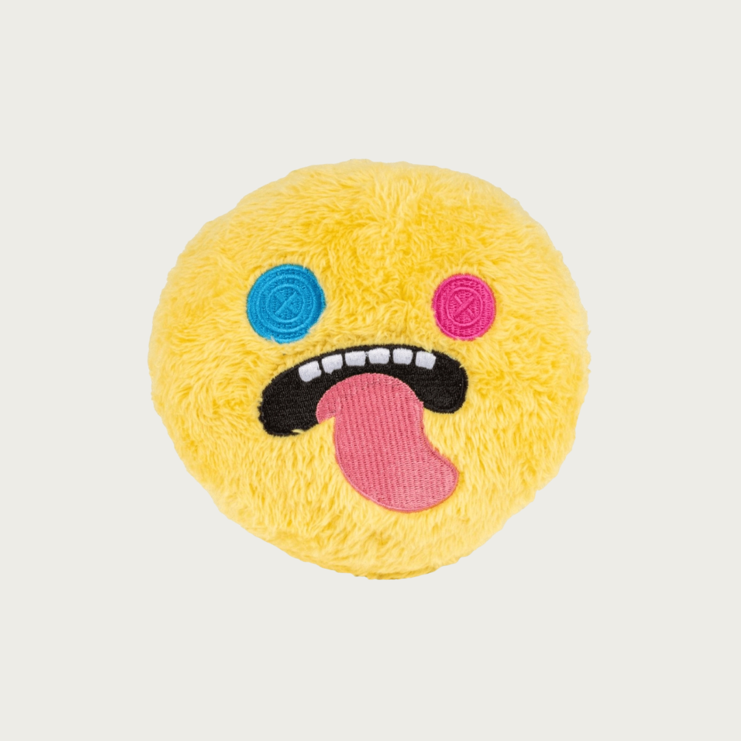 Fuggler Squeaky Ball Dog Toy